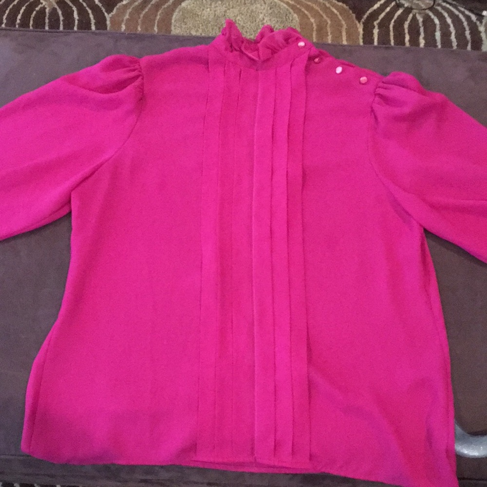 Sheer pleated, ruffle neck short sleeve blouse